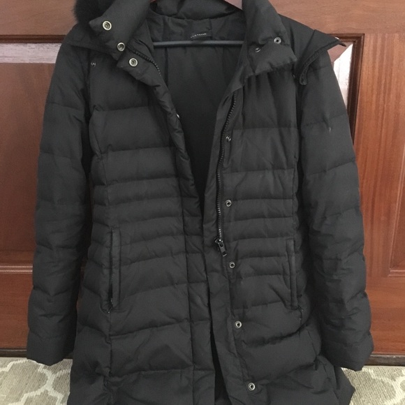 elie tahari puffer coat